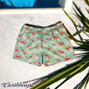 ☀️☀️☀️ Light Blue with Flamingo Swim Trunks